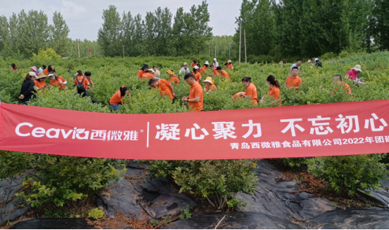 2022年青島西微雅企業(yè)團(tuán)建活動圓滿結(jié)束(圖1)